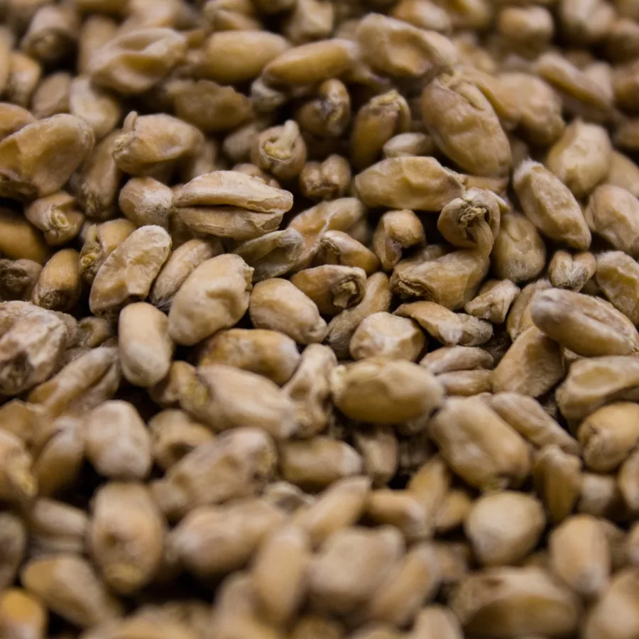 crisp-wheat-malt