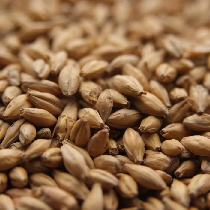 crisp-best-ale-malt
