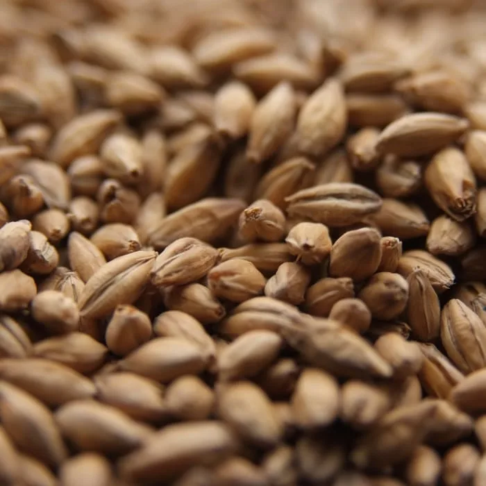 crisp-finest-maris-otter-malt