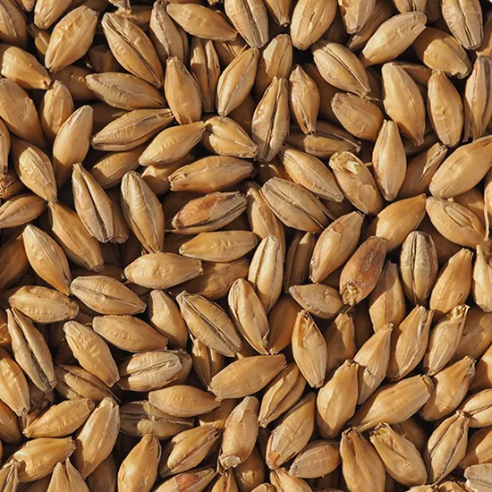 crisp-clear-choice-pale-malt