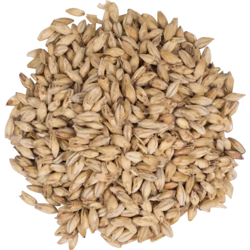 briess-pale-ale-malt