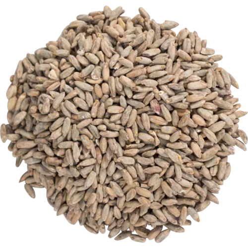 briess-rye-malt