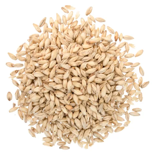 briess-2-row-brewers-malt