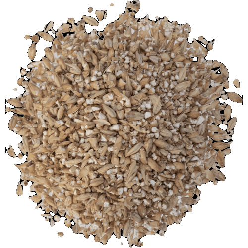 Briess Ashburne Mild Malt